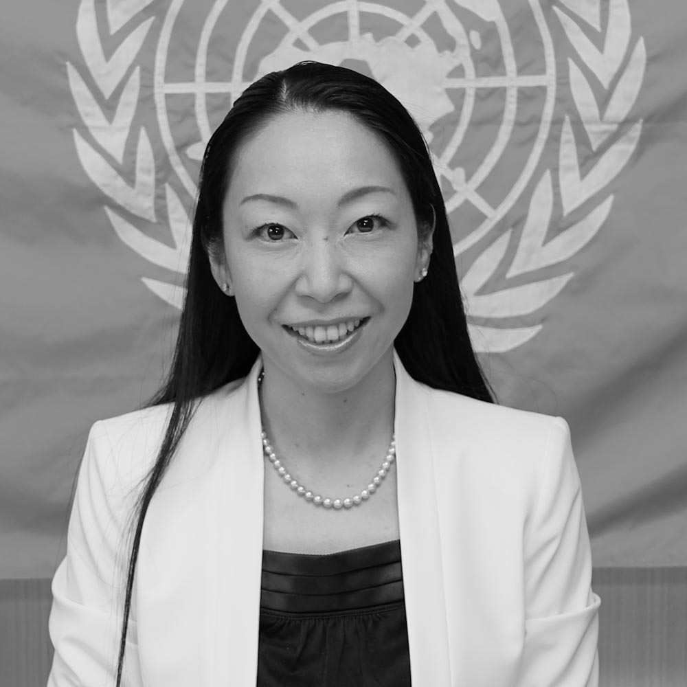 Yuki Matsuoka, UNISDR